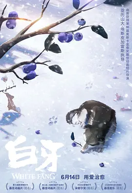 免费国外性视频网站